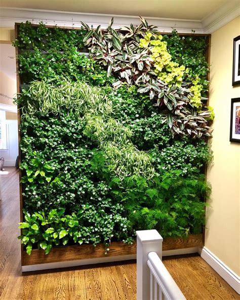Living wall indoor. Things To Know About Living wall indoor. 